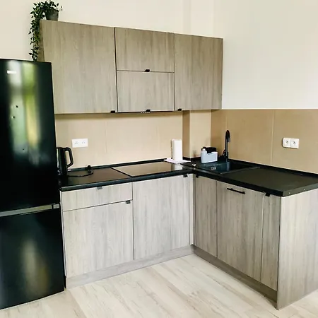 Apartament Fraszka U Kochanowskiego Ac Progres Torun Exterior photo